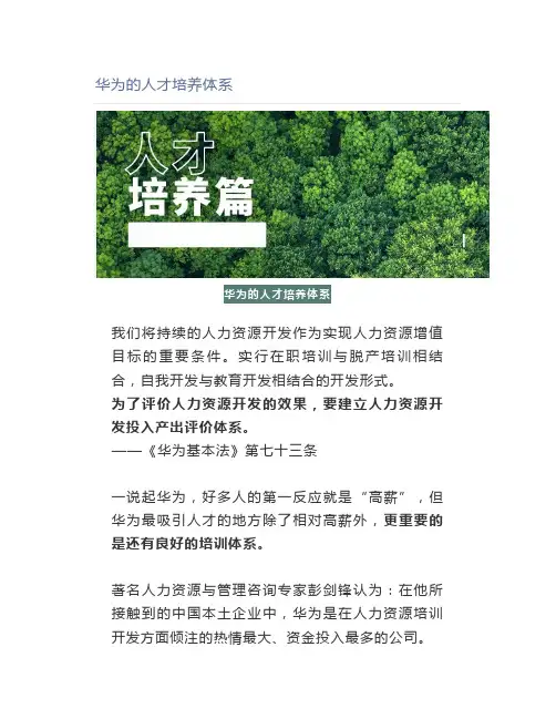 华为的人才培养体系