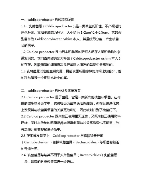 caldicoprobacter分类学水平