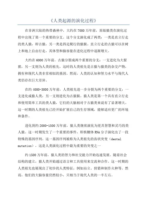 《人类起源的演化过程》