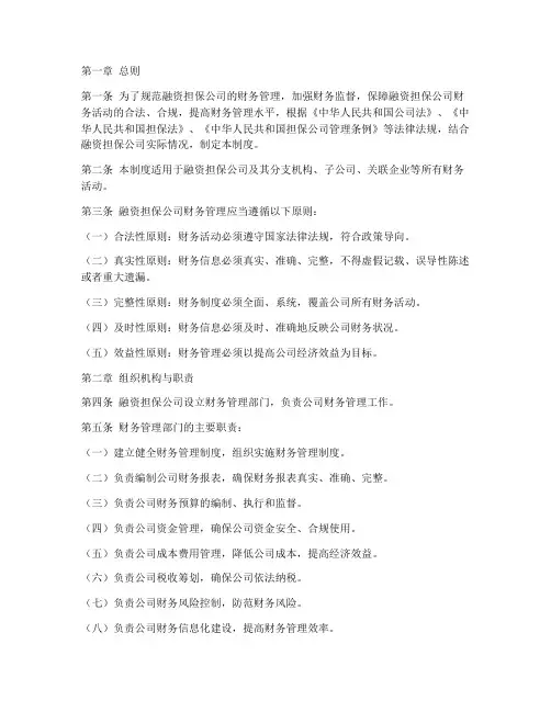 融资担保公财务管理制度