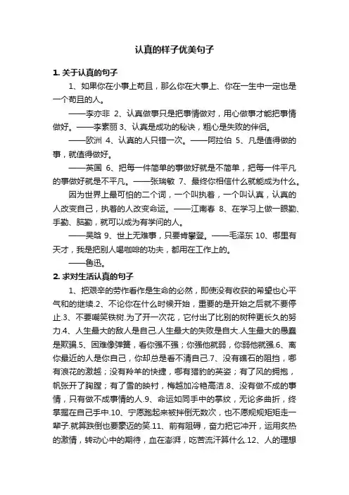 认真的样子优美句子