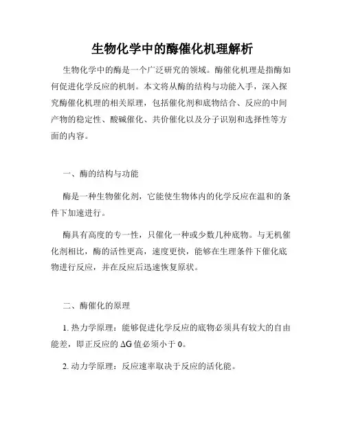 生物化学中的酶催化机理解析