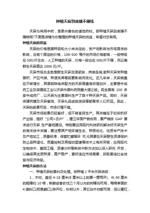 种植天麻到底赚不赚钱