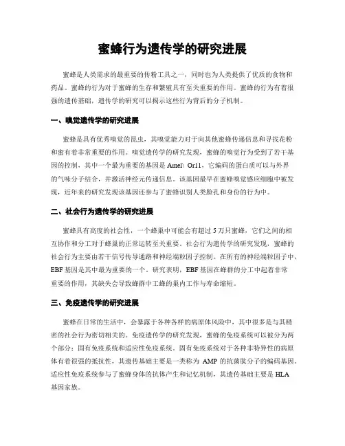 蜜蜂行为遗传学的研究进展