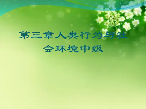 第三章人类行为与社会环境中级优秀课件