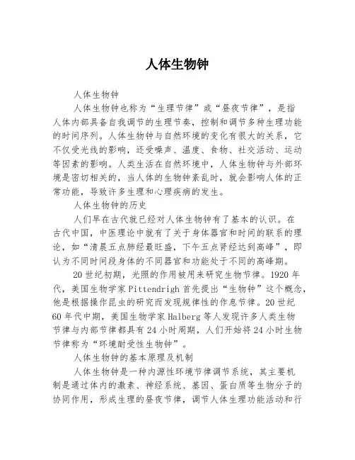 人体生物钟