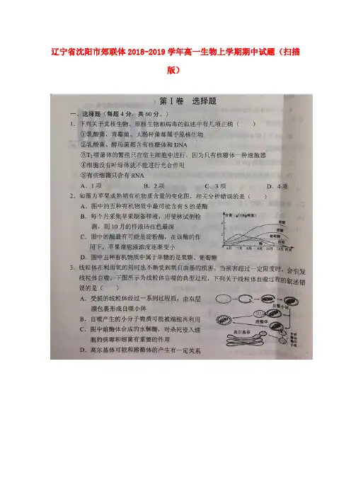 【K12教育学习资料】[学习]辽宁省沈阳市郊联体2018-2019学年高一生物上学期期中试题(扫描版