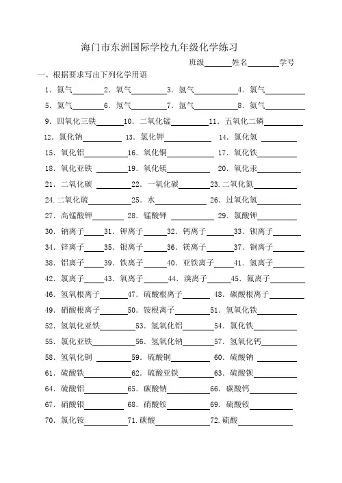 化学用语练习(化学式、离子符号)
