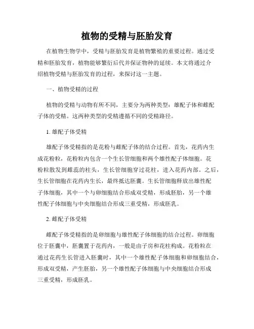 植物的受精与胚胎发育