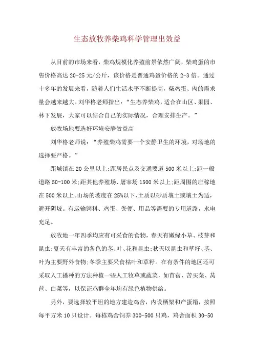 生态放牧养柴鸡 科学管理出效益