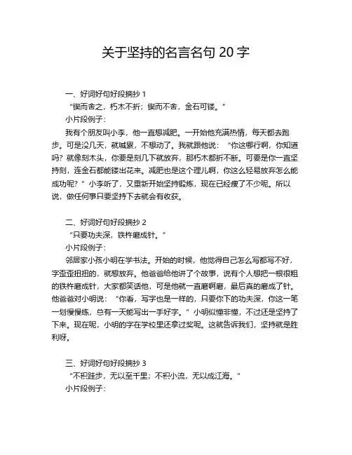 关于坚持的名言名句20字