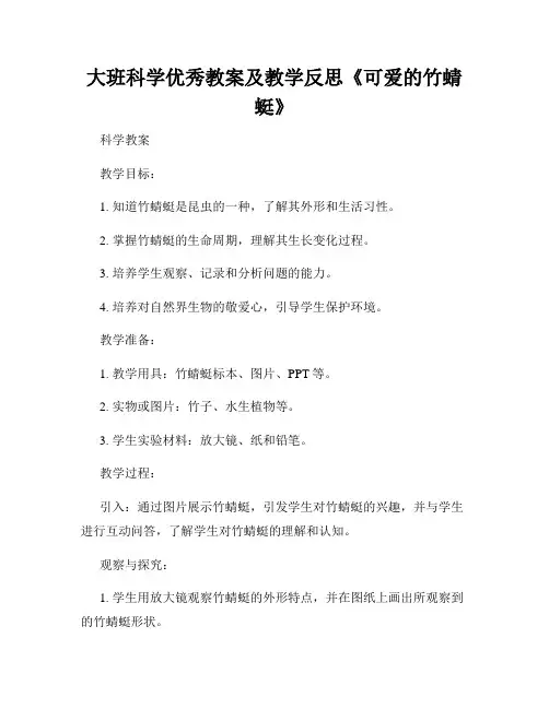 大班科学优秀教案及教学反思《可爱的竹蜻蜓》