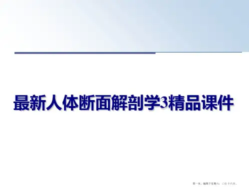 最新人体断面解剖学3精品课件
