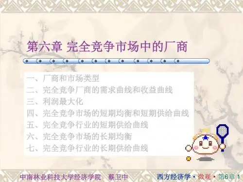 2019年-微观经济学06章-PPT精选文档