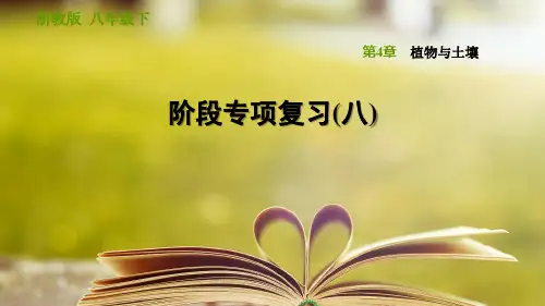 浙教版科学八年级下册第四章《植物与土壤》阶段专项复习(八)