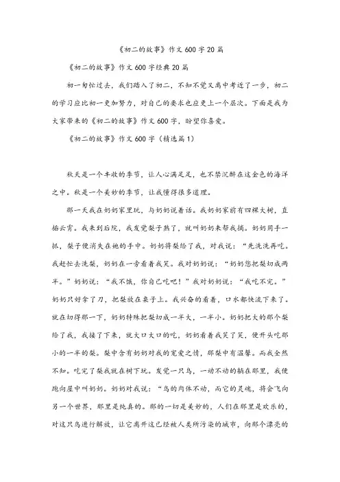 《初二的故事》作文600字20篇