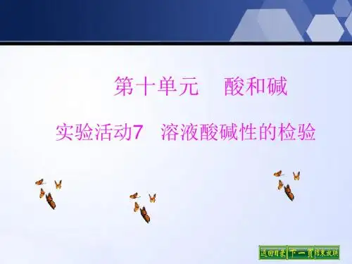人教版九年级化学下册课件：第十单元实验活动7溶液酸碱性的检验 (共18张PPT)