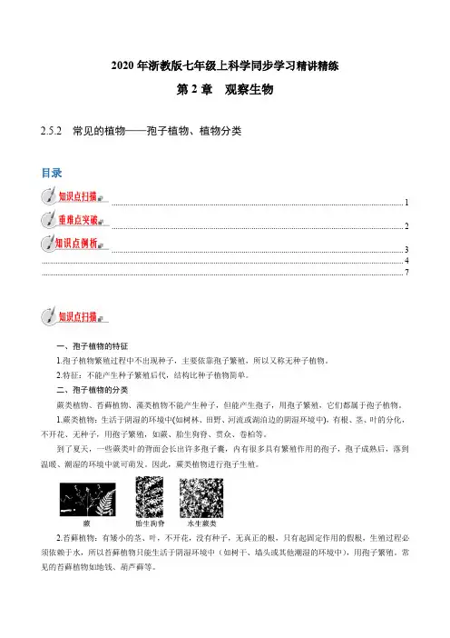 专题2.5.2常见的植物——孢子植物、植物分类(原卷版+解析)