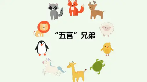 《“五官”兄弟》名师教学课件
