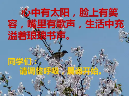 新教育第12周晨诵