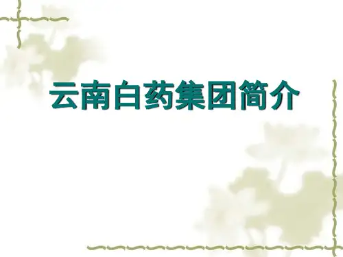 云南白药案例分析