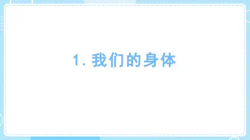 2.1 我们的身体 课件 教科版(2024)科学一年级上册