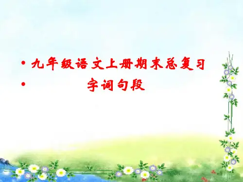 部编九年级语文上册期末总复习  字词句段 34张幻灯片