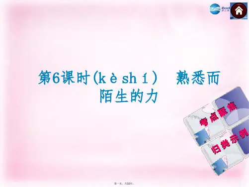 中考物理总复习 第6课时 熟悉而陌生的力课件 沪科版