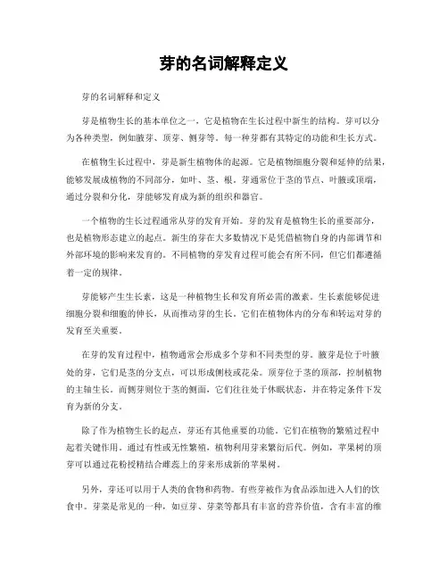 芽的名词解释定义