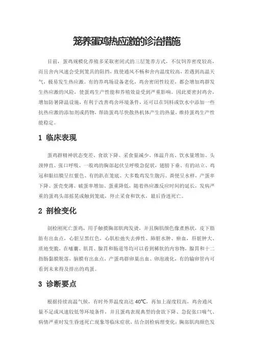 笼养蛋鸡热应激的诊治措施