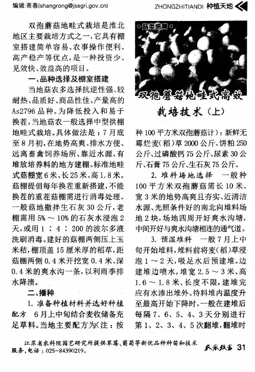 双孢蘑菇地畦式高效栽培技术(上)