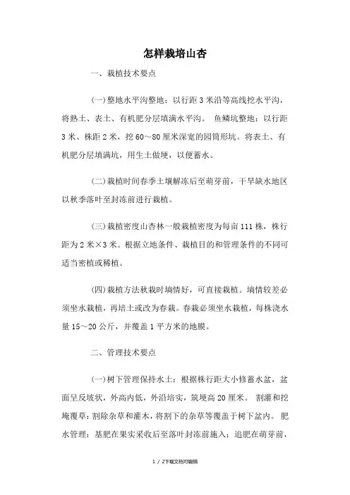 山杏栽植