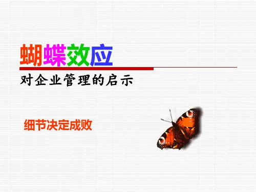 蝴蝶效应对企业管理的启示PPT