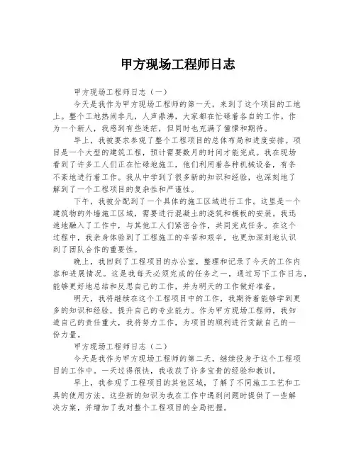 甲方现场工程师日志