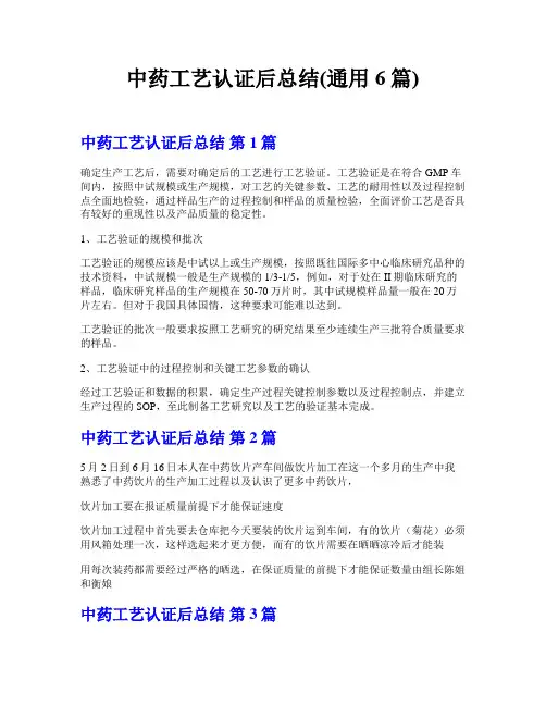 中药工艺认证后总结(通用6篇)