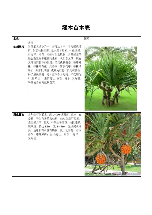灌木植物表