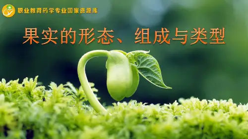 果实的形态、组成与类型.