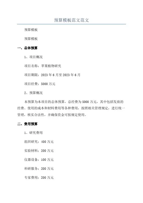 预算模板范文范文