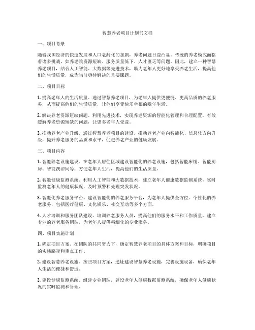 智慧养老项目计划书文档