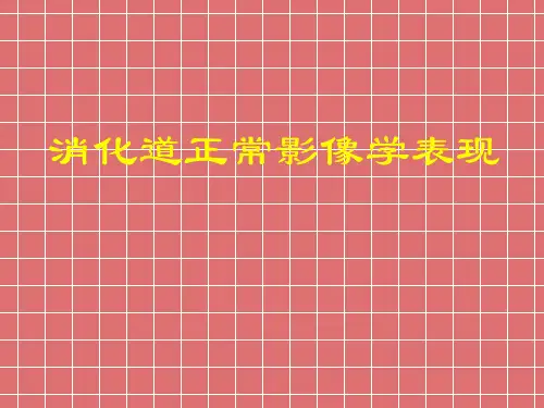 空腔脏器正常影像及基本病变