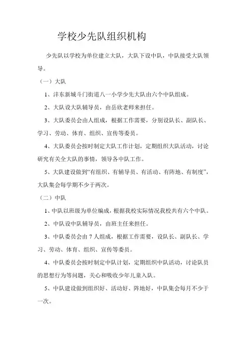学校少先队组织机构