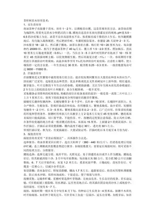 茶籽树苗木培育技术