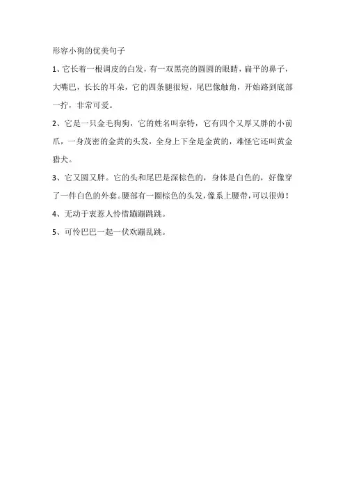 形容小狗的优美句子