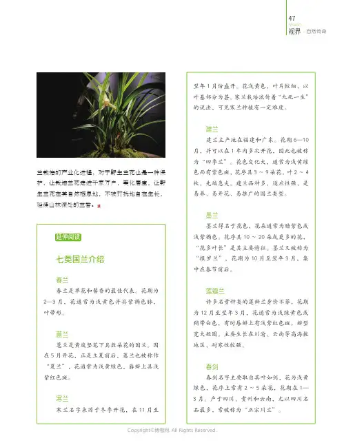 七类国兰介绍