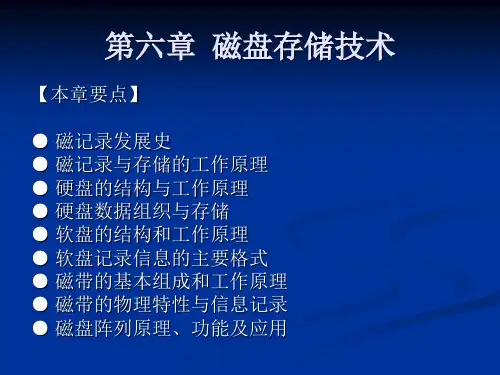 信息记录与存储技术第六章  磁盘存储技术