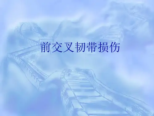 前交叉韧带损伤