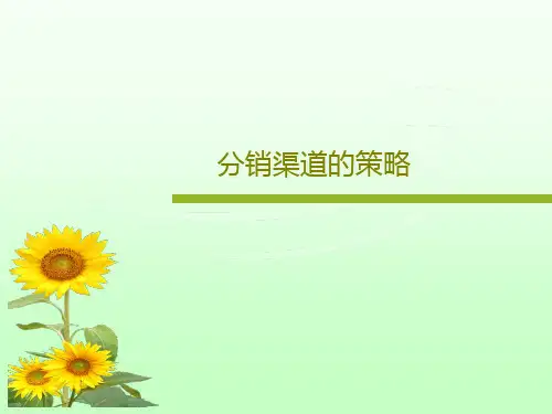 分销渠道的策略共20页PPT