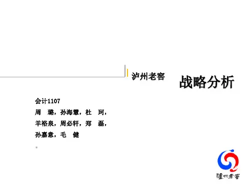 泸州老窖战略分析资料