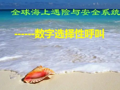MF-HF_DSC解析