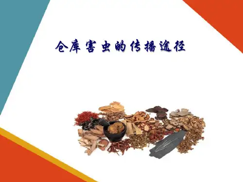 中药仓库害虫与防治—仓库害虫的危害与防治